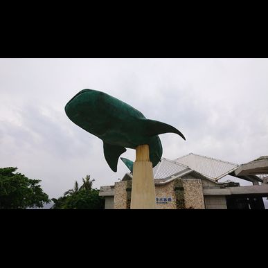 お庭の草刈りをご希望でしたら相模原にある望月造園へご依頼ください