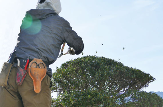 スタッフの教育面も徹底している望月造園は優秀な人材を揃えております
